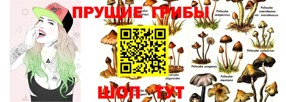 Галлюциногенные грибы Magic Shrooms  Вход с VPN  Бузулук 
